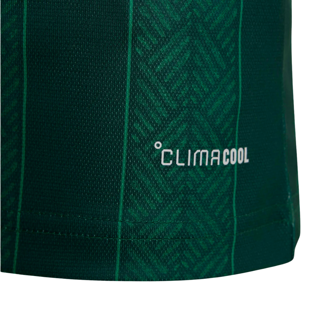 Bafana Bafana WC26 Away Jersey (Fan Version)