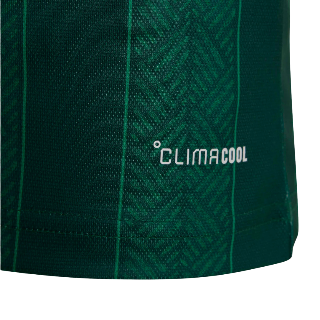 Bafana Bafana WC26 Away Jersey (Fan Version)