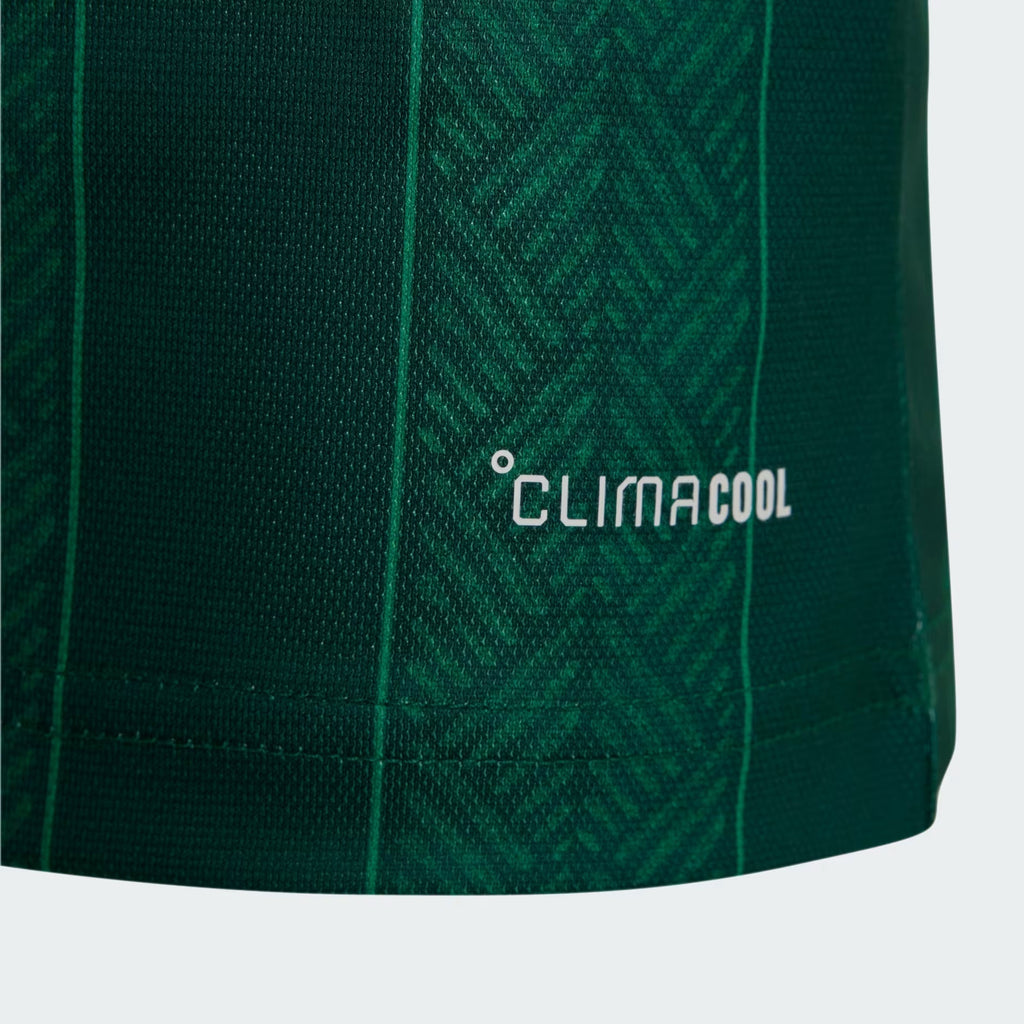 Bafana Bafana 26 Away Jersey